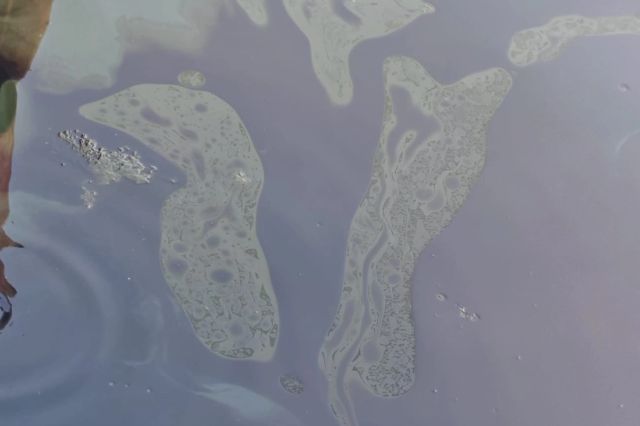 Poluare accidentală pe Dunăre, la Turnu Măgurele. Alimentarea cu apă a orașului, oprită preventiv