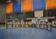 Ziua internațională a iei sărbătorită și la deschiderea Cupei Europene WKC