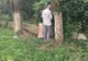 Sancționat contravențional și moral pentru că s-a urinat în public: primarul l-a postat pe facebook FOTO VIDEO