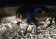 Nu au respectat indicatoarele rutiere și au rămas înzăpeziți, salvarea lor a venit de la jandarmii montani FOTO-VIDEO