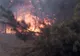 O pădure de pin, afectată de un incendiu care a cuprins 30 de hectare de vegetație, în Caraș-Severin