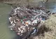 Autoritățile lasă râurile de izbeliște, doar ONG-urile mai curăță râurile de plastic FOTO