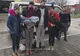 Bebeluș înfrigurat identificat la frontiera cu Serbia, cinci irakieni voiau să ajungă în Occident
