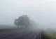Meteorologii avertizează asupra vântului puternic