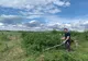 Acțiune de curățare a vegetației în cimitir la Comorâște, cu mic, cu mare la voluntariat VIDEO