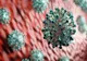 Un cărășean de 81 de ani a fost răpus ieri de coronavirus