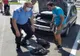 Un sarpe si-a gasit un cuib inedit: sub capota unei mașini