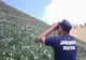 Pe Muntele Mic vor patrula de acum înainte jandarmii
