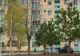 Plantări de arbori în Reșița: ce plantezi azi, vei culege mâine..