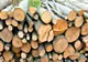 Transporturi ilegale de material lemnos, inclusiv brazi de Crăciun
