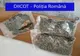 Prinși în flagrant în timp ce vindeau droguri aduse din Spania