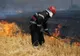 Incendii de vegetație provocate în Caraș-Severin