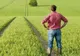 Cursuri pentru agricultori şi fermieri la Direcţia pentru Agricultură Caraş-Severin