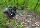 Rampă clandestină de deșeuri la marginea Reșiței, în Parcul Național Semenic – Cheile Carașului