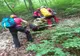 Turiști rătăciți pe munte, într-o regiune greu accesibilă