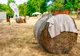 Pe malul laului Secu începe festivalul: muzică, preparate culinare și distracție 