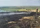  Un bărbat a fost găsit decedat pe un teren cuprins de un incendiu de vegetaţie uscată
