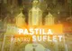 PASTILA PENTRU SUFLET - Cea mai importantă pildă a Sfântului Ioan Gură de Aur