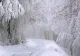 Ninsori și temperaturi în pragul înghețului - prognoza completă ANM