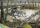  Parcul Național Cheile Nerei – Beușnița, plin de gunoaie. Cei certați cu bunul simț sunt "arși" la buzunare