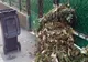 Precizări despre colectarea deșeurilor vegetale, la Reșița