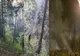 VIDEO INCENDIU DE FOND FORESTIER ÎN MASIVUL PIATRA MARE