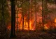 Incendii uriașe de vegetație pe Valea Cernei. Peste 60 de hectare de teren ard ca o torță -VIDEO