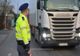 Adolescenții care l-au ucis pe șoferul de TIR, în Belgia, au acționat cu premeditare