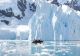 Incendiile din Arctica, deja la un nivel ridicat în iunie, avertizează Copernicus