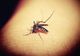 Alertă sanitară majoră! 4 cazuri de meningită virală, raportate în România - Infecția, cauzată de virusul West Nile