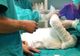 Propunerea CNAS care dă o șansă în plus pacienților cu arsuri - Ce servicii importante vor putea fi decontate de Casă