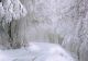 Prognoza meteo pe o lună. Temperaturile scad dramatic: ger năprasnic și ninsori abundente