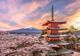 Alertă mondială, un supliment alimentar popular, produs în Japonia, provocă decese pe bandă